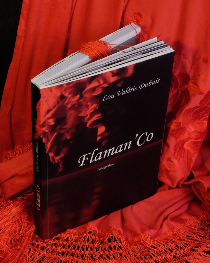 Présentation du livre Flaman&rsquo;Co - 1