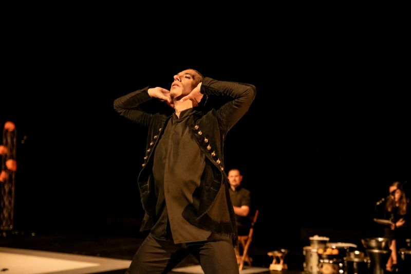 Locomoción templar el templete de Israel Galván - 1