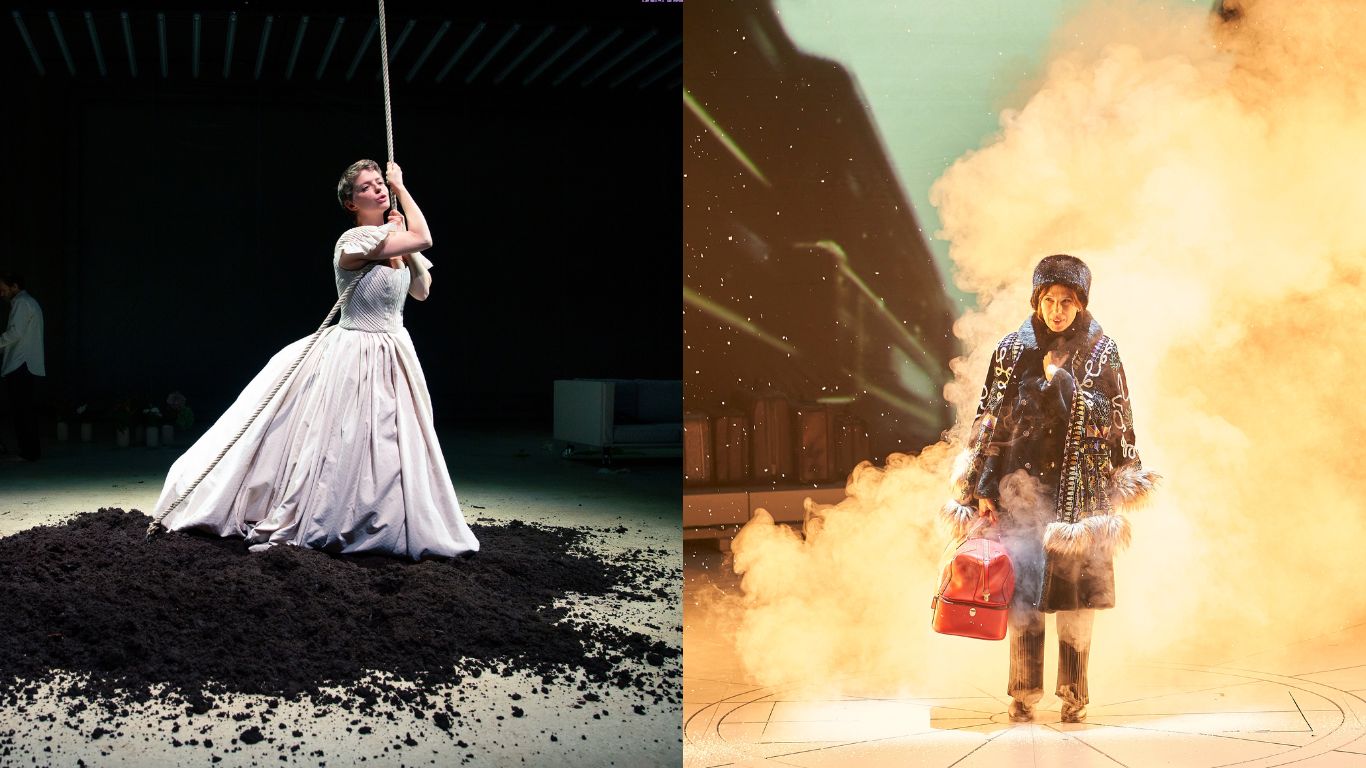 Bovary & Anna Karènina