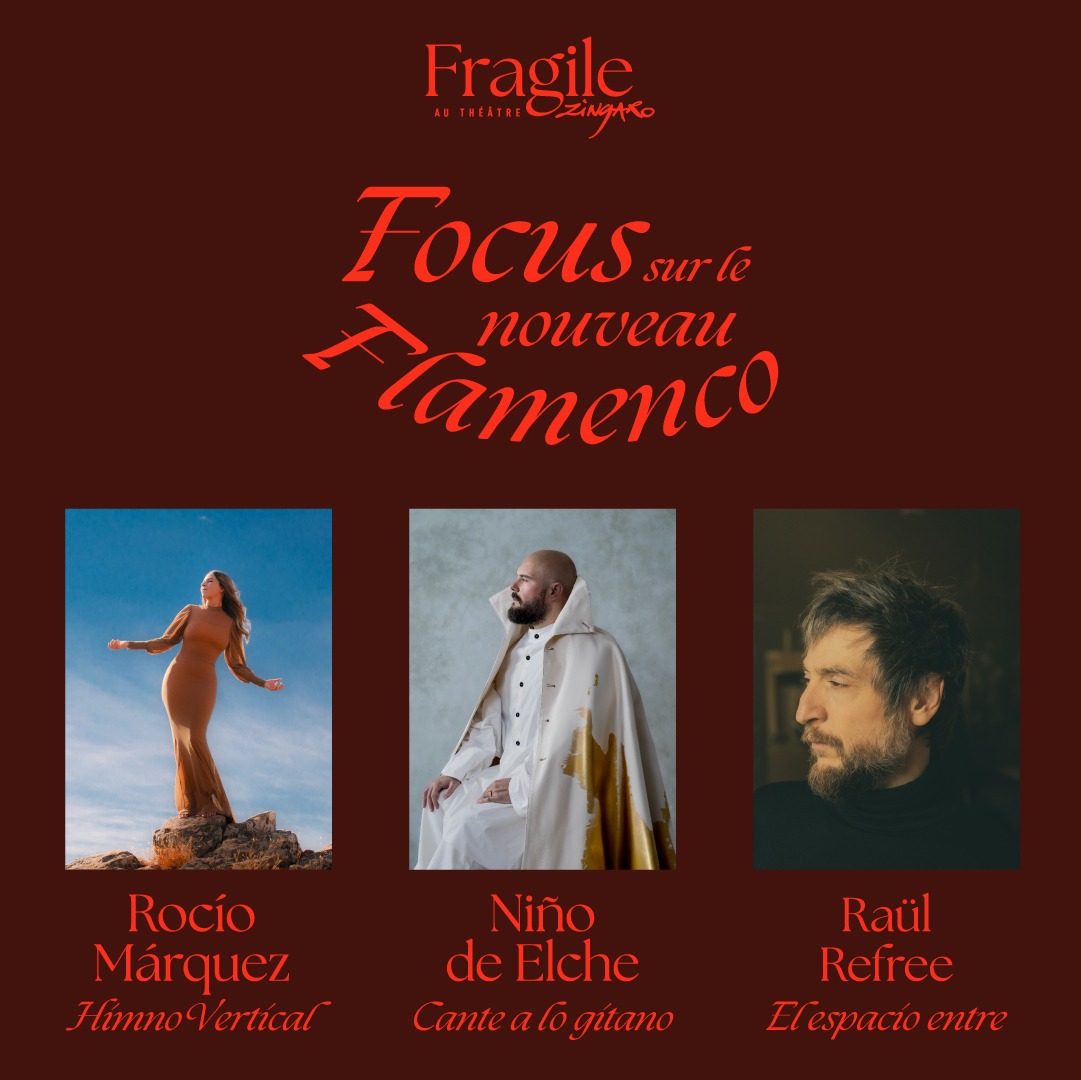 Fragile au Théâtre Zingaro – Focus sur le nouveau Flamenco - 1