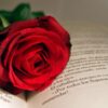 Día Mundial del Libro – Mercadillo de libros
