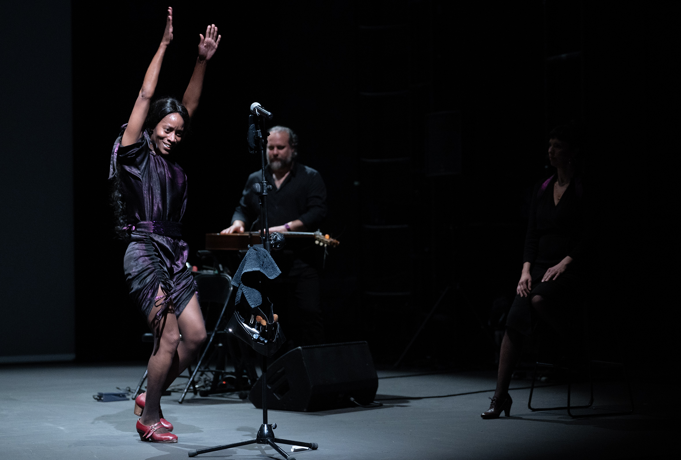 Biennale d&rsquo;art flamenco - 1