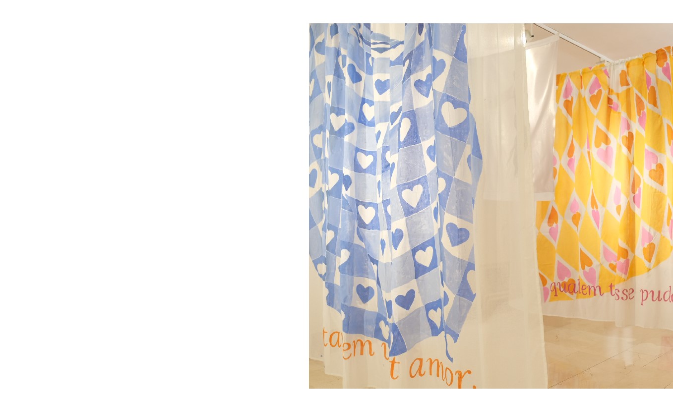 Exposition. Tegere et nudare - 1