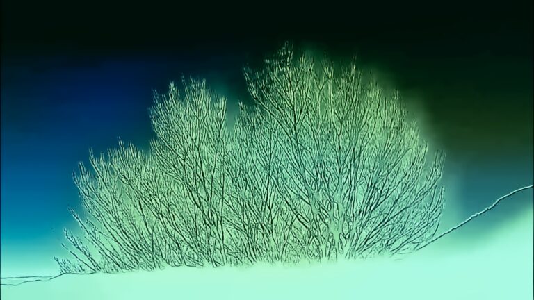Rencontre : Comment rendre le musée vivant ? Comment rendre le musée au vivant ?_thumbnail