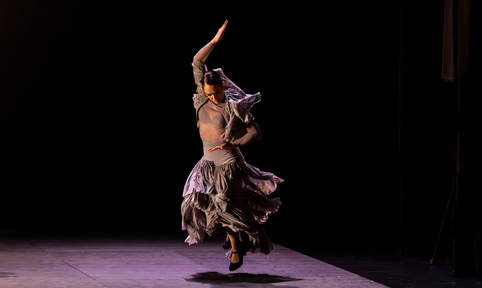 Festival Flamenco - 1